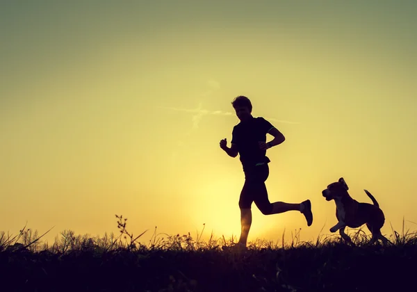 Evening jogging with beagle pet — Stok Foto