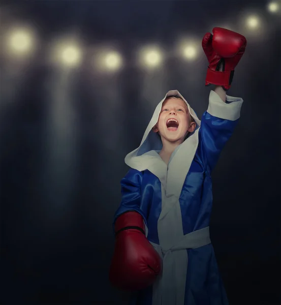 Glory time for little boxer — Stock Photo, Image