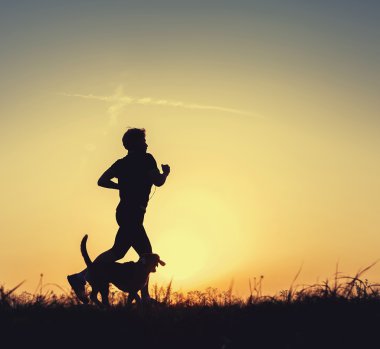 Evening jogging with beagle