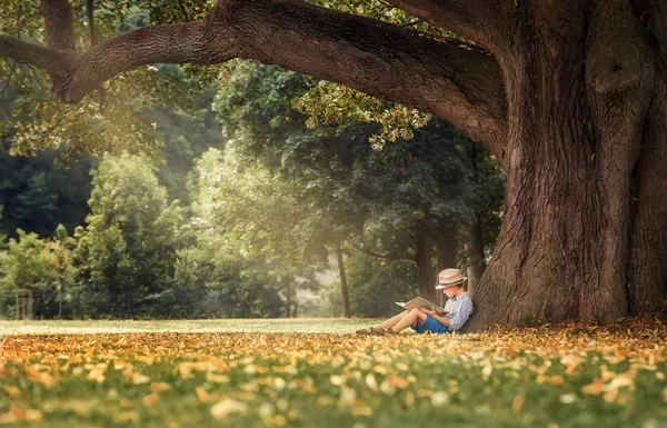 Petit garçon lecture livre sous arbre — Photo