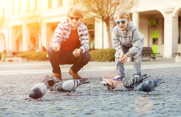 Two brothers feed doves — Stok Foto