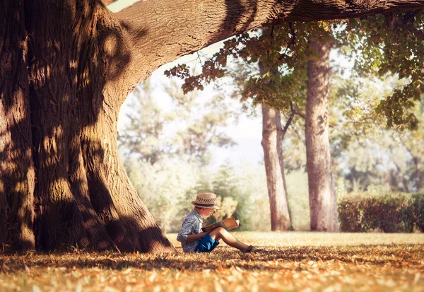 Jungen lesen Buch unter großer Baum — Stockfoto