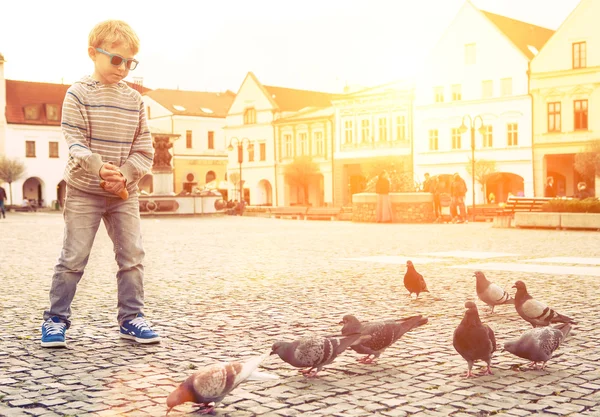 Muchacho alimentando palomas en la Plaza de la ciudad — Foto de Stock