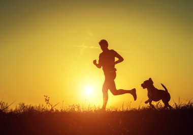 Etkin adam ile çalışan köpek