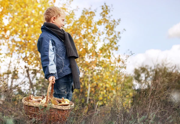 Boy with ful basket of mushrooms — Stock Photo, Image