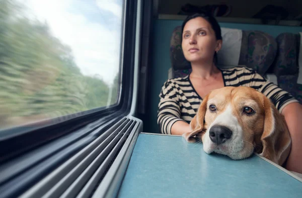 Žena se psem ve vlaku — Stock fotografie