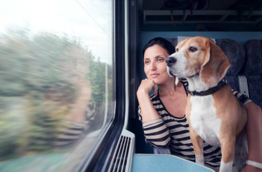 Kadın ile köpek tren Vagon araçla