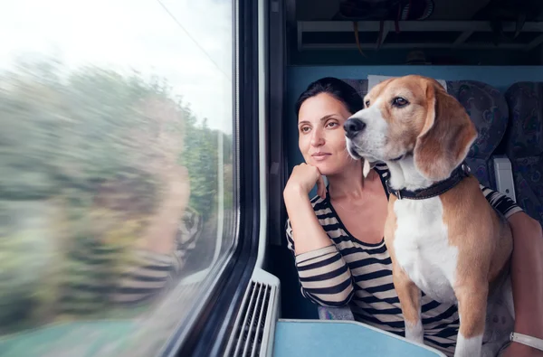 Kvinna med hund i tåg vagn — Stockfoto