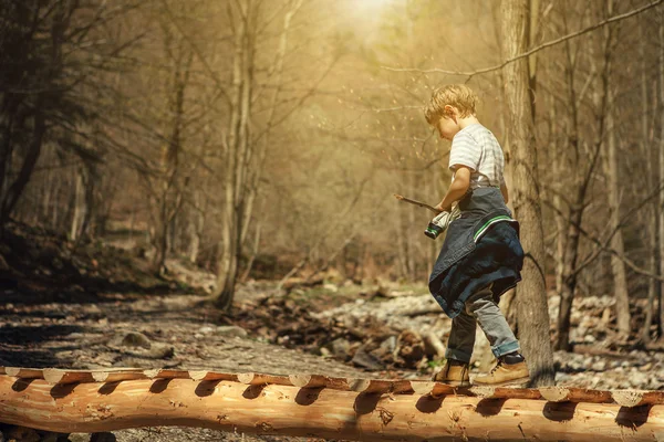 Pojke promenad i vår skog — Stockfoto