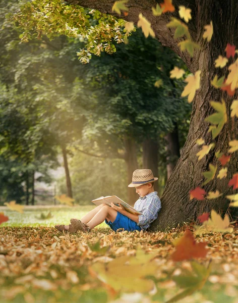 Junge mit Buch unter Baum sitzt — Stockfoto