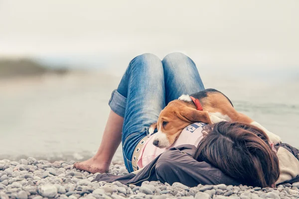 Beagle liggend op zijn borst eigenaar — Stockfoto