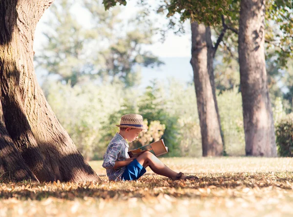 Niño Lee libro en día soleado —  Fotos de Stock