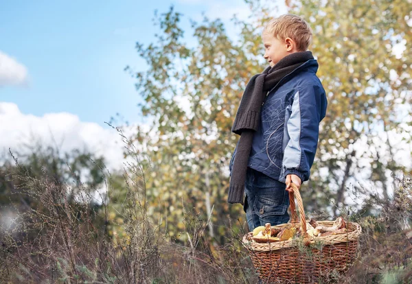 Chłopiec w jesień las z pieczarkami — Zdjęcie stockowe