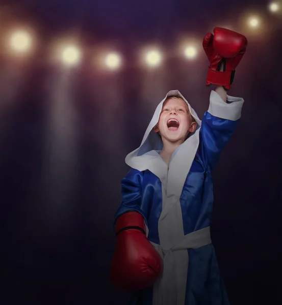 Petit boxer triompher sa victoire — Photo