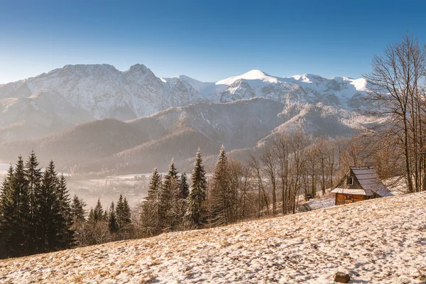 Matin dans les montagnes de Tatra — Photo