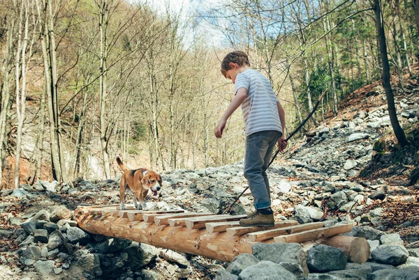 Kleinen Reisenden mit seinem Hund — Stockfoto