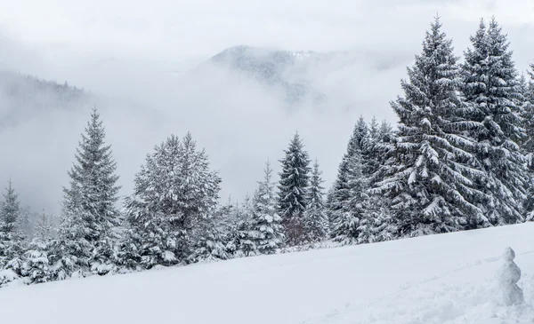 Snöig skog, Slovakien — Stockfoto