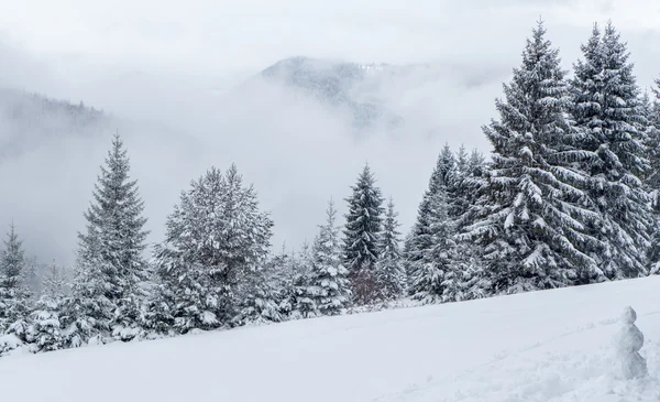 Besneeuwde bos, Slowakije — Stockfoto