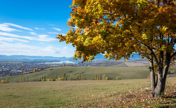 Регион Липтов
