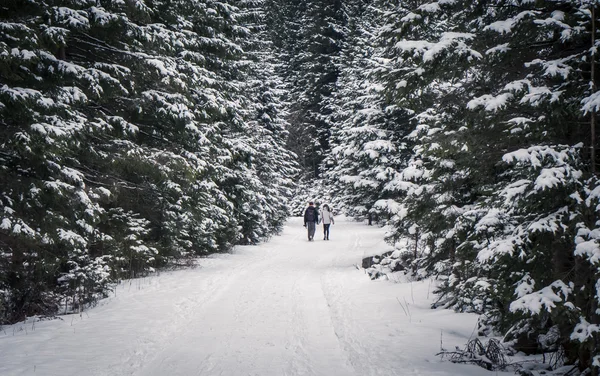 Pár a téli erdőben — Stock Fotó