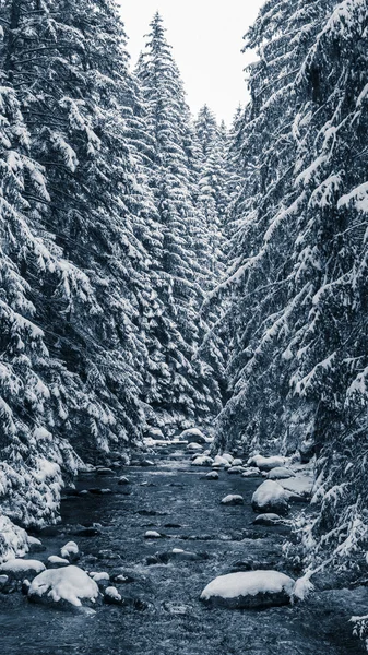 País de Inverno, Eslováquia — Fotografia de Stock