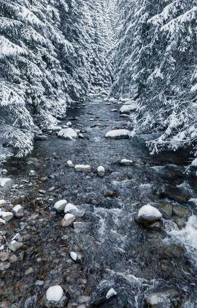 Vinter land, Slovakien — Stockfoto