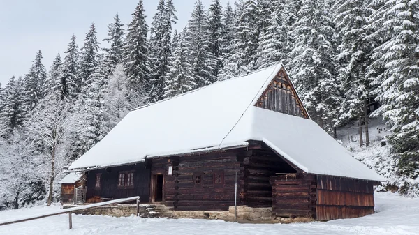 Dřevěné chaty v Zuberec, Slovensko — Stock fotografie