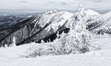 Mala Fatra mountains, Slovakya için kış