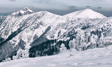 Mala Fatra mountains, Slovakya için kış