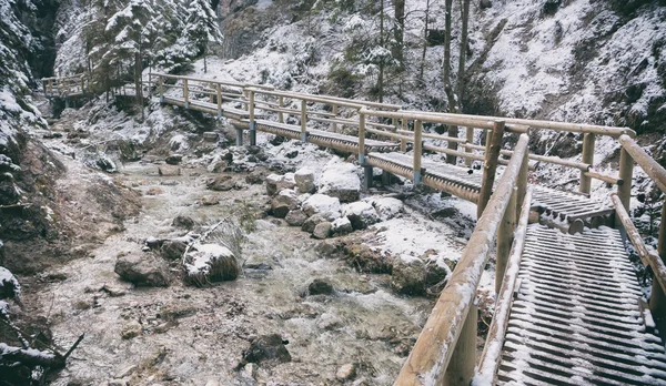 Spazierweg in Janosikove diery, Slowakei — Stockfoto