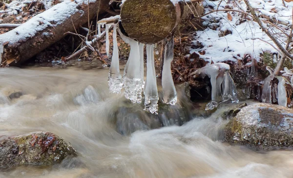 Eiszapfen am Baum — Stockfoto