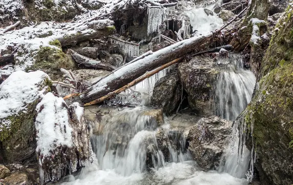 Kaskade Fluss im Wald — Stockfoto