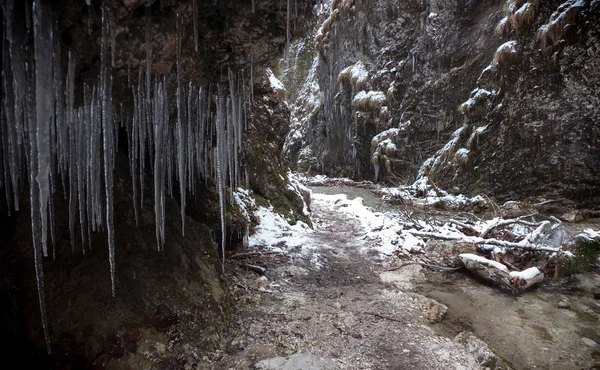 Inverno em Janosikove diery, Eslováquia — Fotografia de Stock