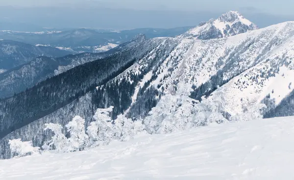 Vinter i Mala Fatra berg, Slovakien — Stockfoto