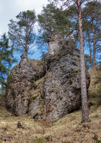 Formaciones rocosas en el bosque — Foto de Stock