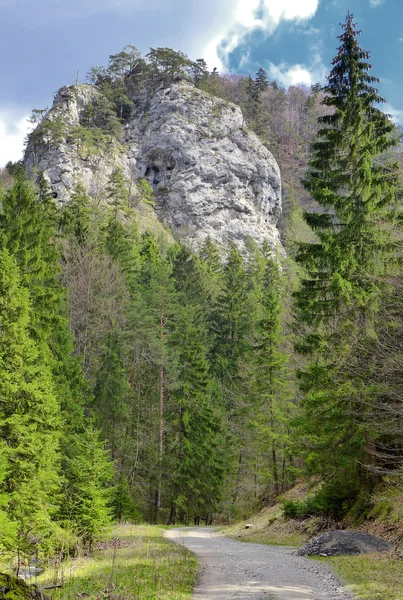 Blatnicka dolina, Slovakya