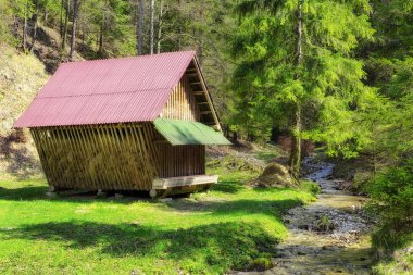 Yaban hayvanları için yem