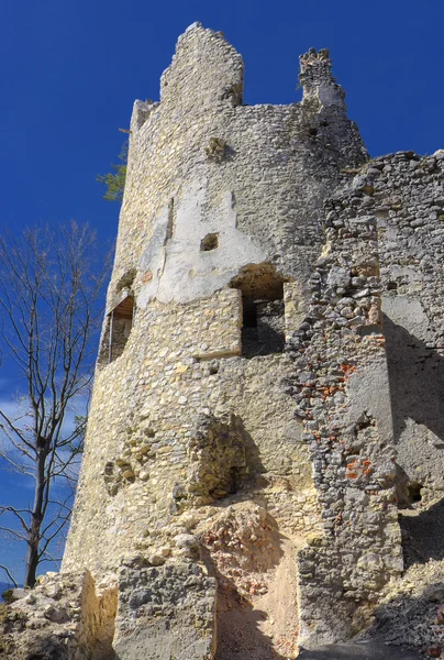 Blacnicky hrad, Slovensko — Stock fotografie