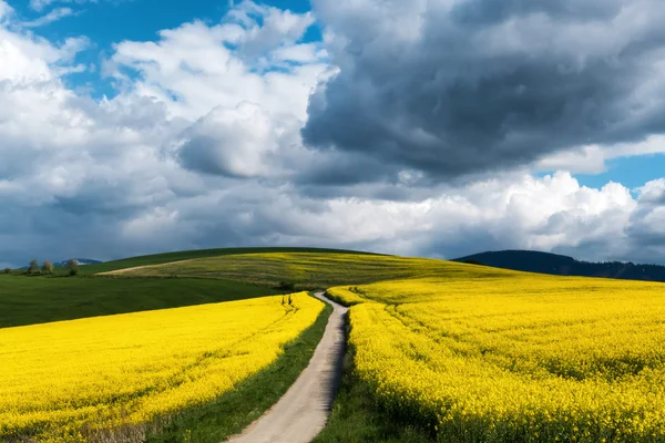 Yol alanında — Stok fotoğraf