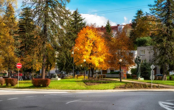 Ruzomberok Slovakia October 2020 Yellow Teaves Tree Park Central City — 图库照片