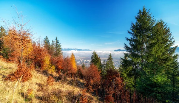 森林の秋のシーズン バックグラウンドで地域リプトフの町Ruzomberok スロバキア — ストック写真