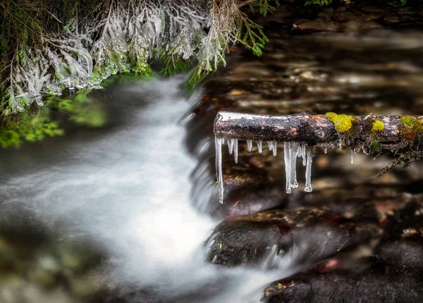 ストリームベッドで木の上で氷 流れる水 長時間露光写真 — ストック写真