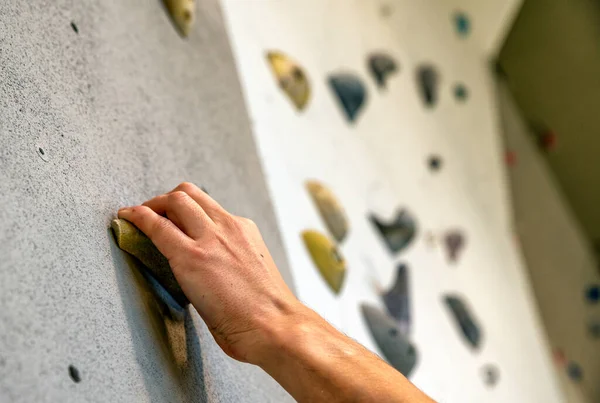 Mão Porões Parede Escalada Ginásio — Fotografia de Stock