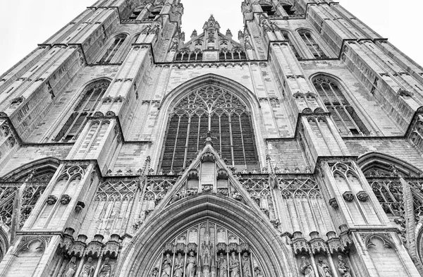 Michael Och Gudula Cathedral Bryssel Belgien — Stockfoto