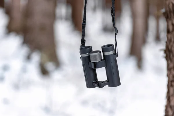 Binóculos Pendurar Árvore Floresta Inverno Nevado — Fotografia de Stock