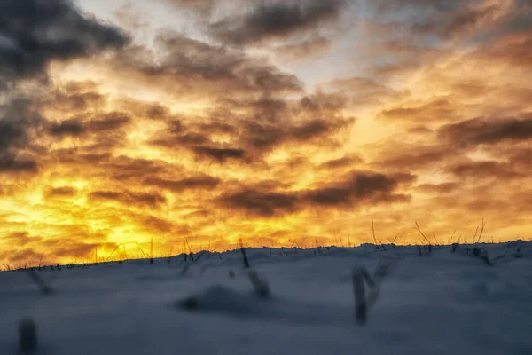 Campo Neve Pôr Sol Colorido Céu — Fotografia de Stock