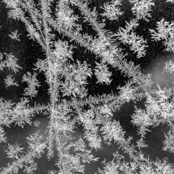 Aplastando Vaso Vista Cerca Invierno Frío Blanco Negro — Foto de Stock