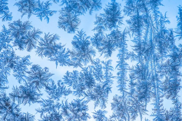 Gelo Vidro Vista Perto Inverno Frio — Fotografia de Stock
