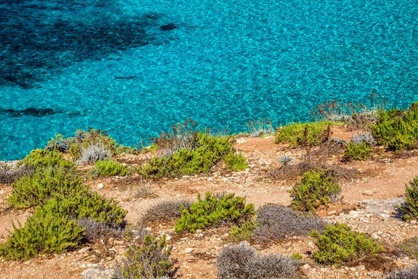 晶莹清澈的水绿松石海和地中海植被 — 图库照片