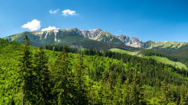 Güzel yaz dağ manzarası. Slovakya 'nın Janska Vadisi' nden alçak Tatras